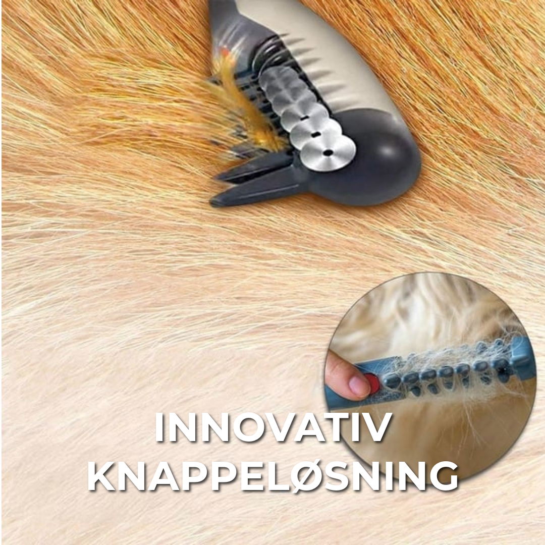 Elektrisk Kjæledyrskam