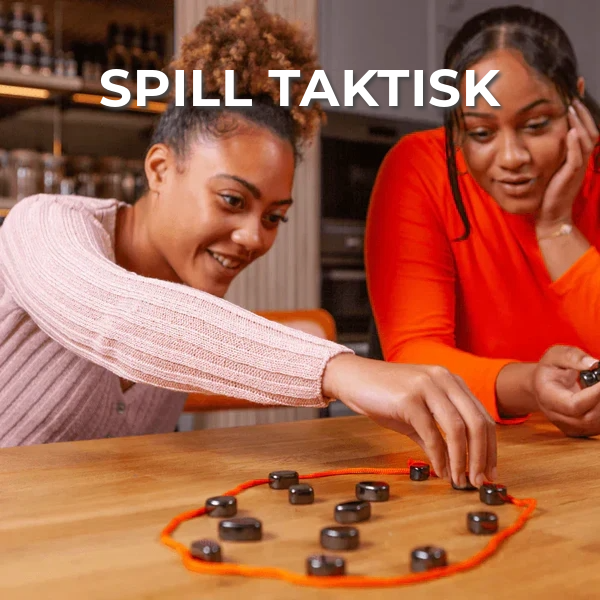 Magnetisk selskapsspill
