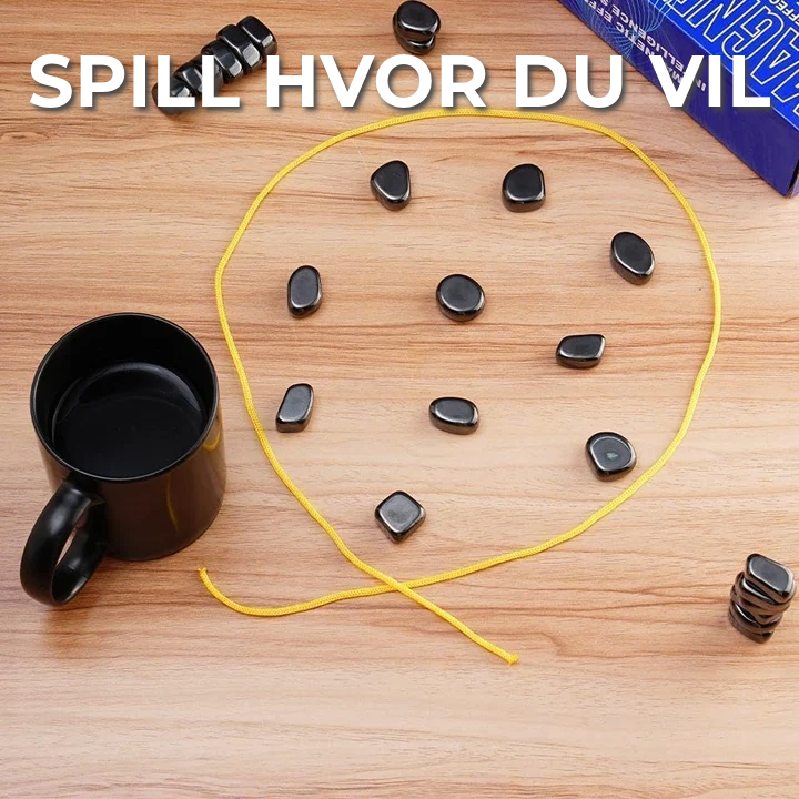 Magnetisk selskapsspill