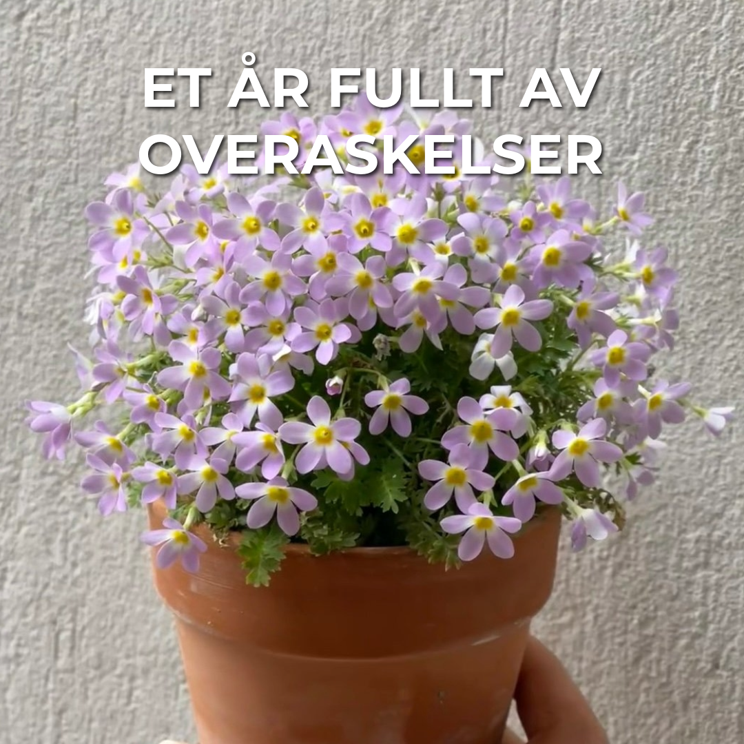 Plantebar Kalender 2025