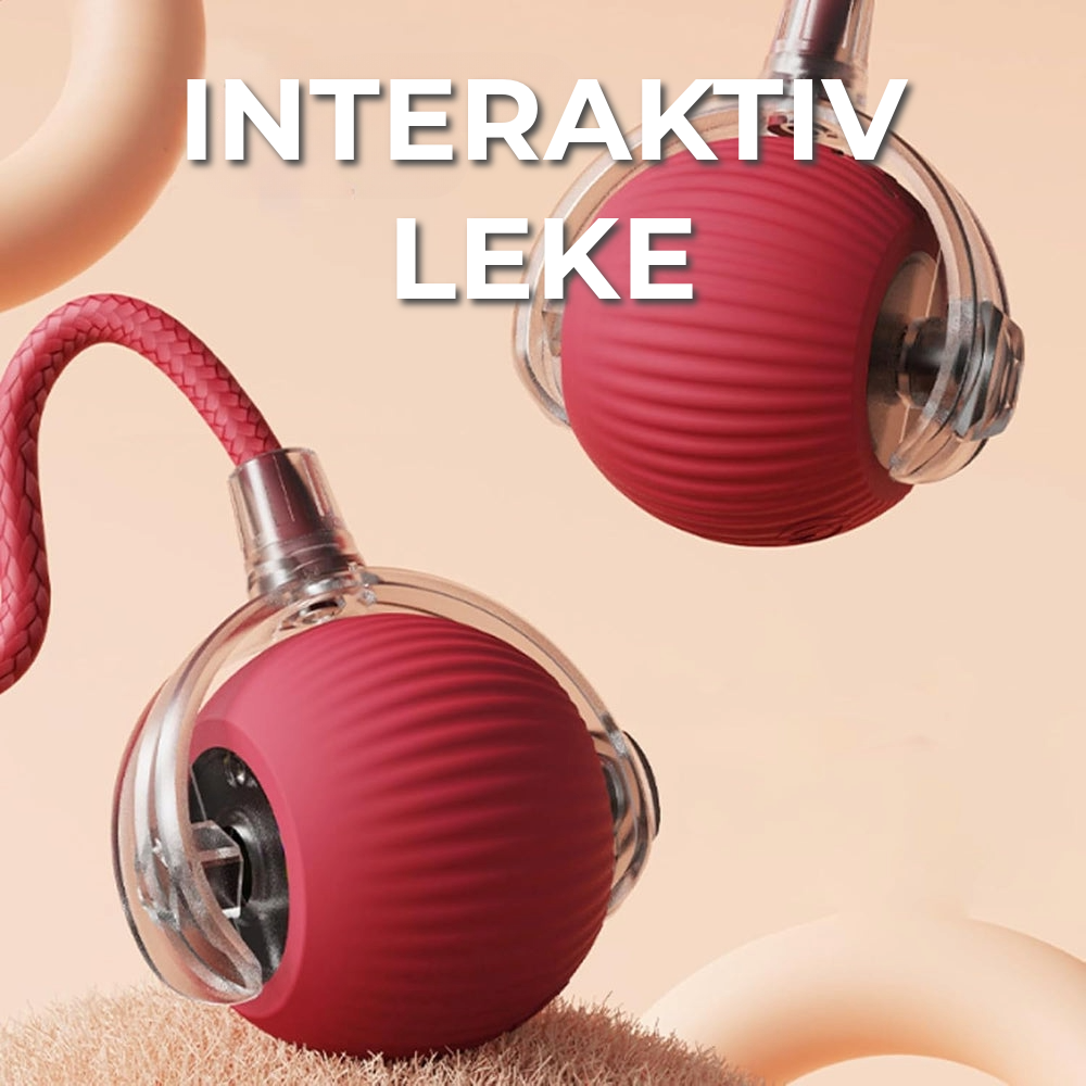 Interaktiv Leke