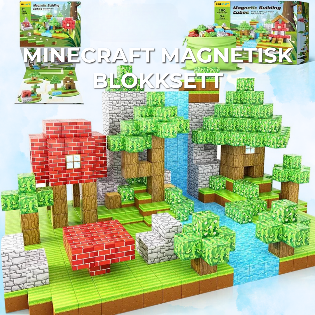 Minecraft magnetisk blokksett