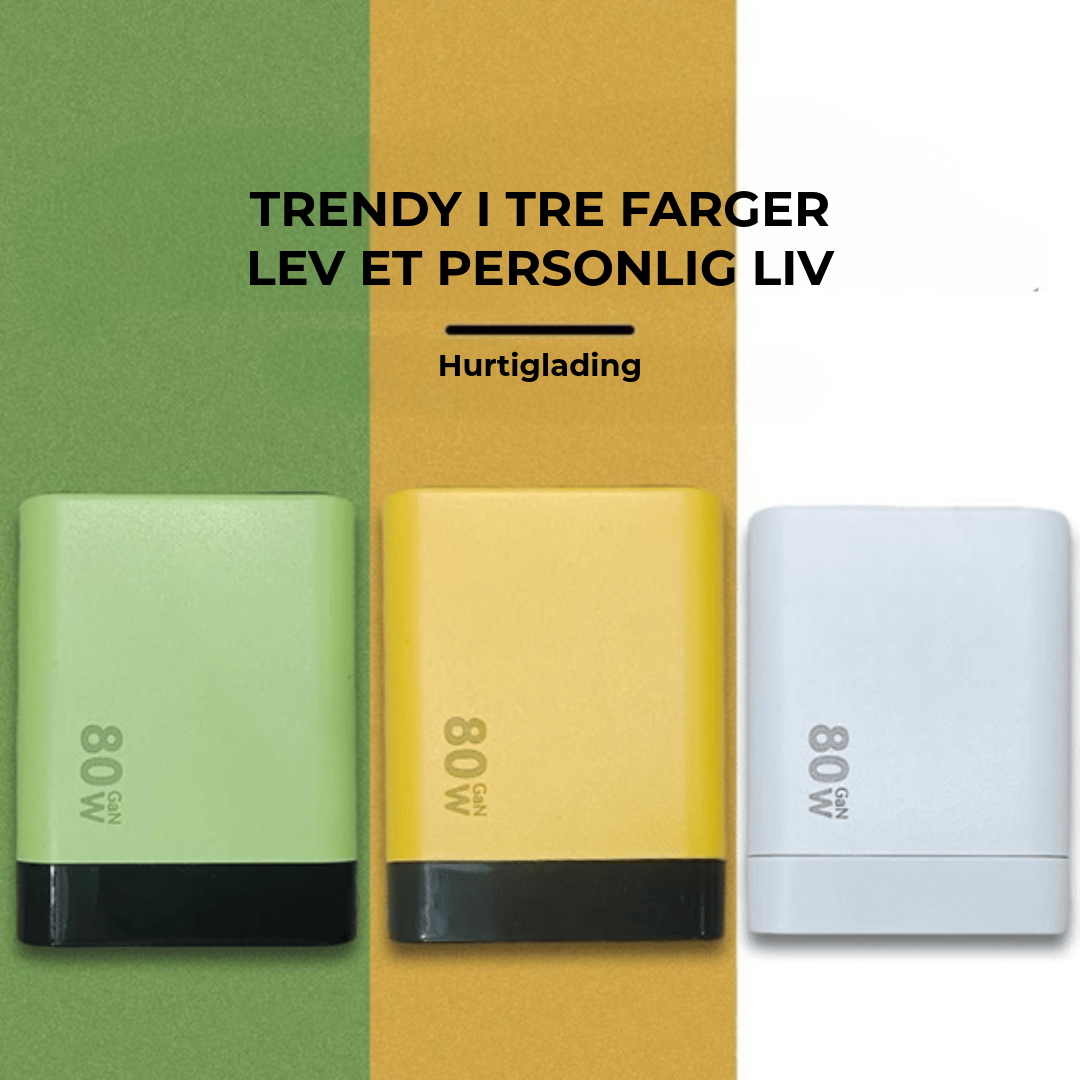 80W Hurtiglader