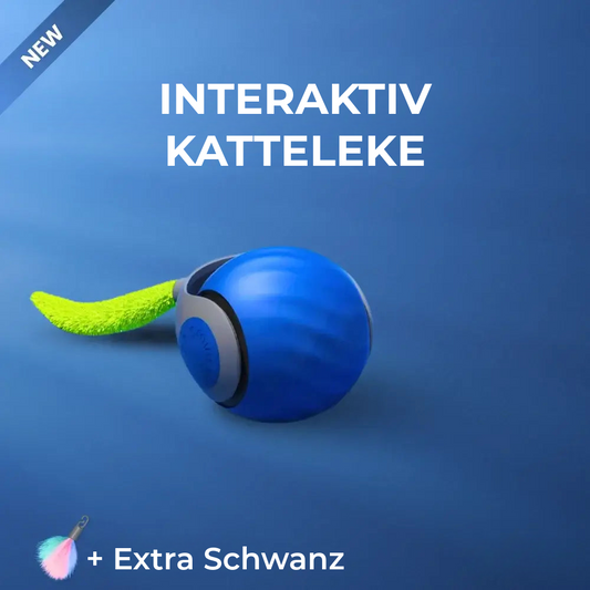 Interaktivt katteleke