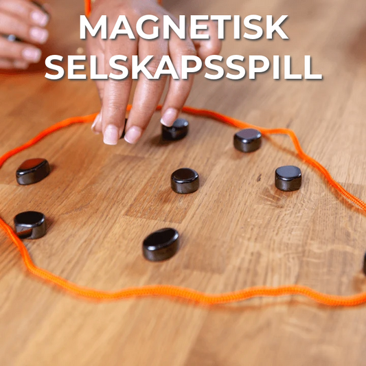 Magnetisk selskapsspill