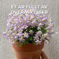 Plantebar Kalender 2025