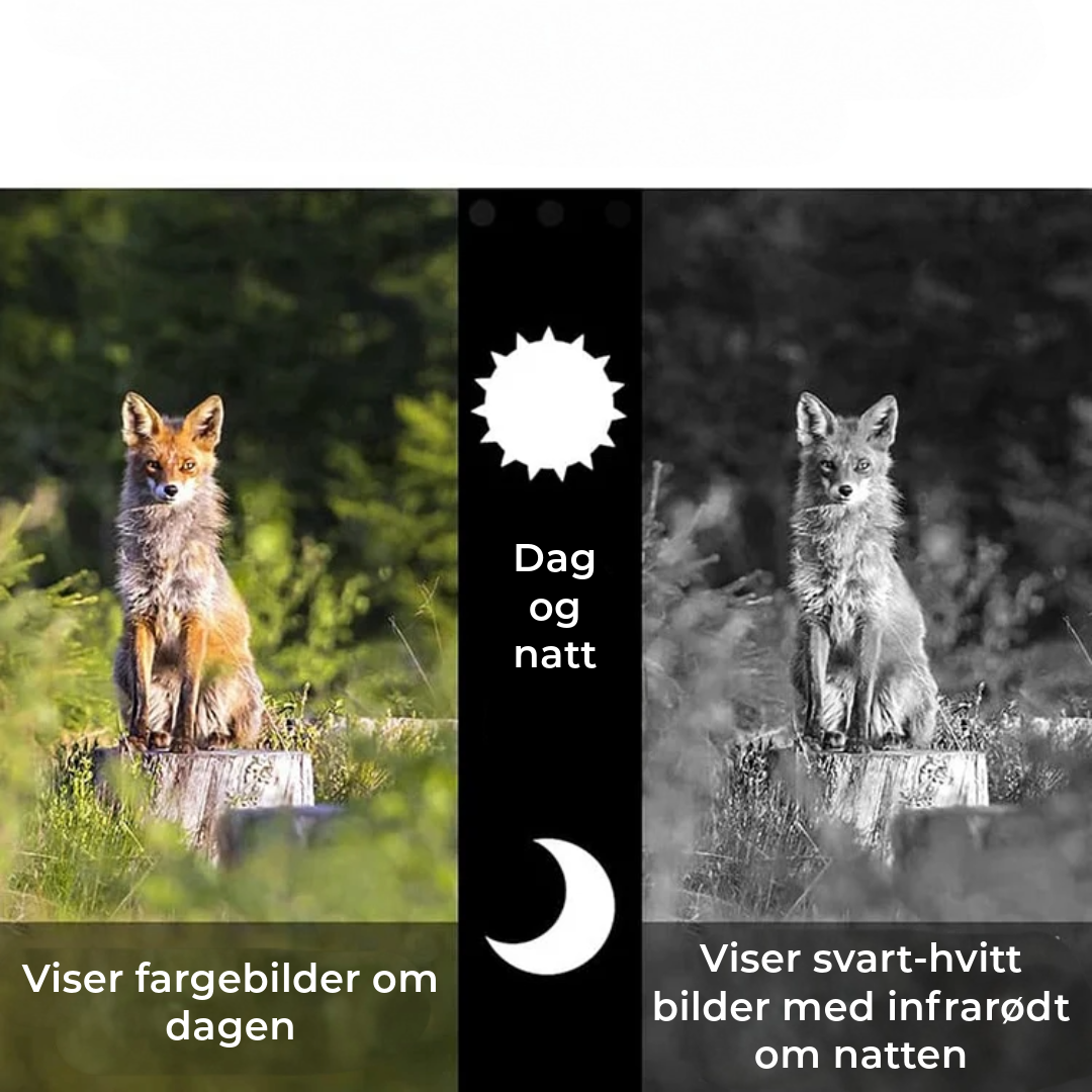 Profesjonelt Infrarødt Teleskop