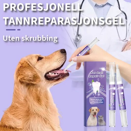 Profesjonell Tannreparasjonsgel